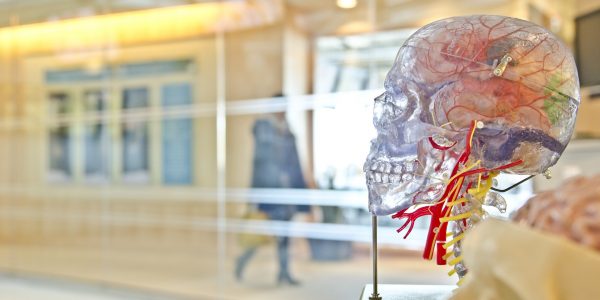L’ictus, prima persona singolare e universale